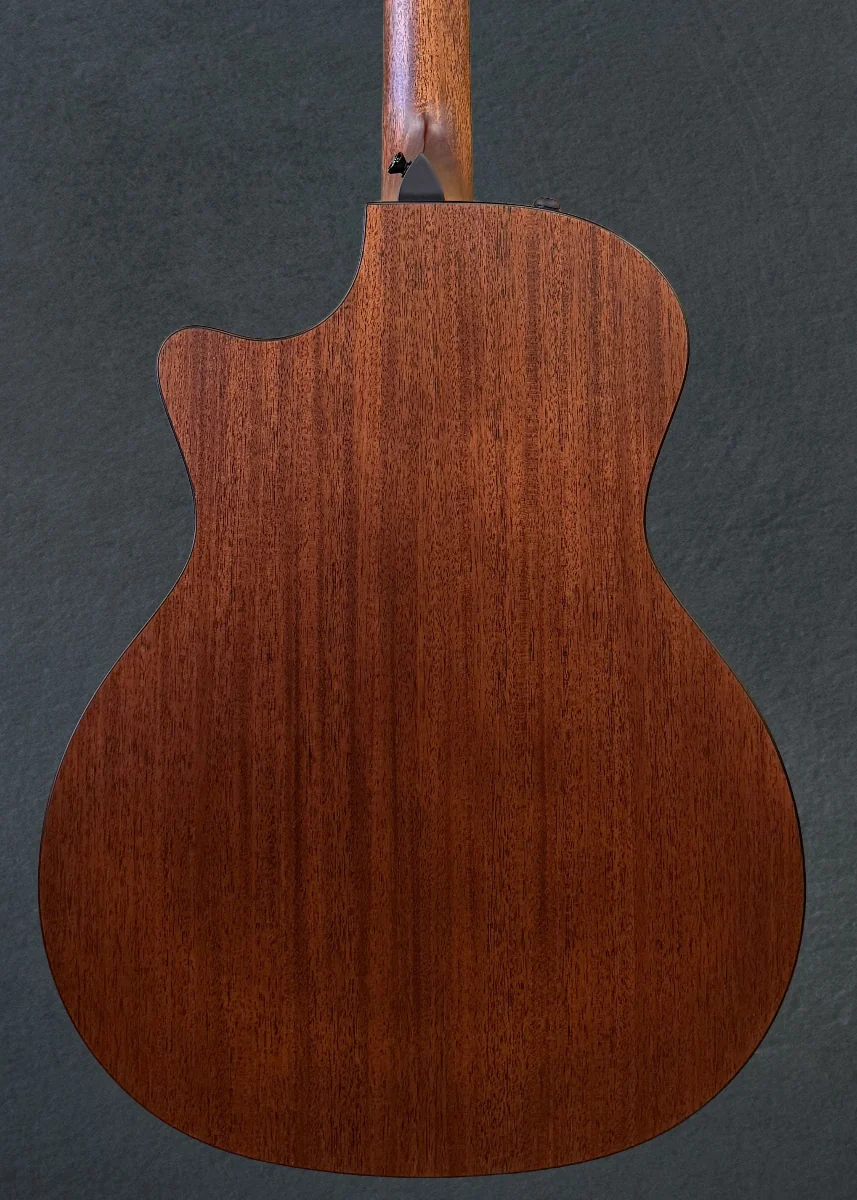 324ce Baritone-8 LTD - Image 4