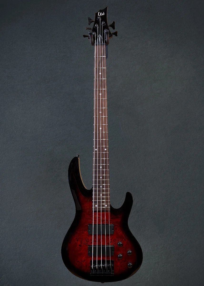 B-205DX 5-String Bass-Red Burst - Image 3