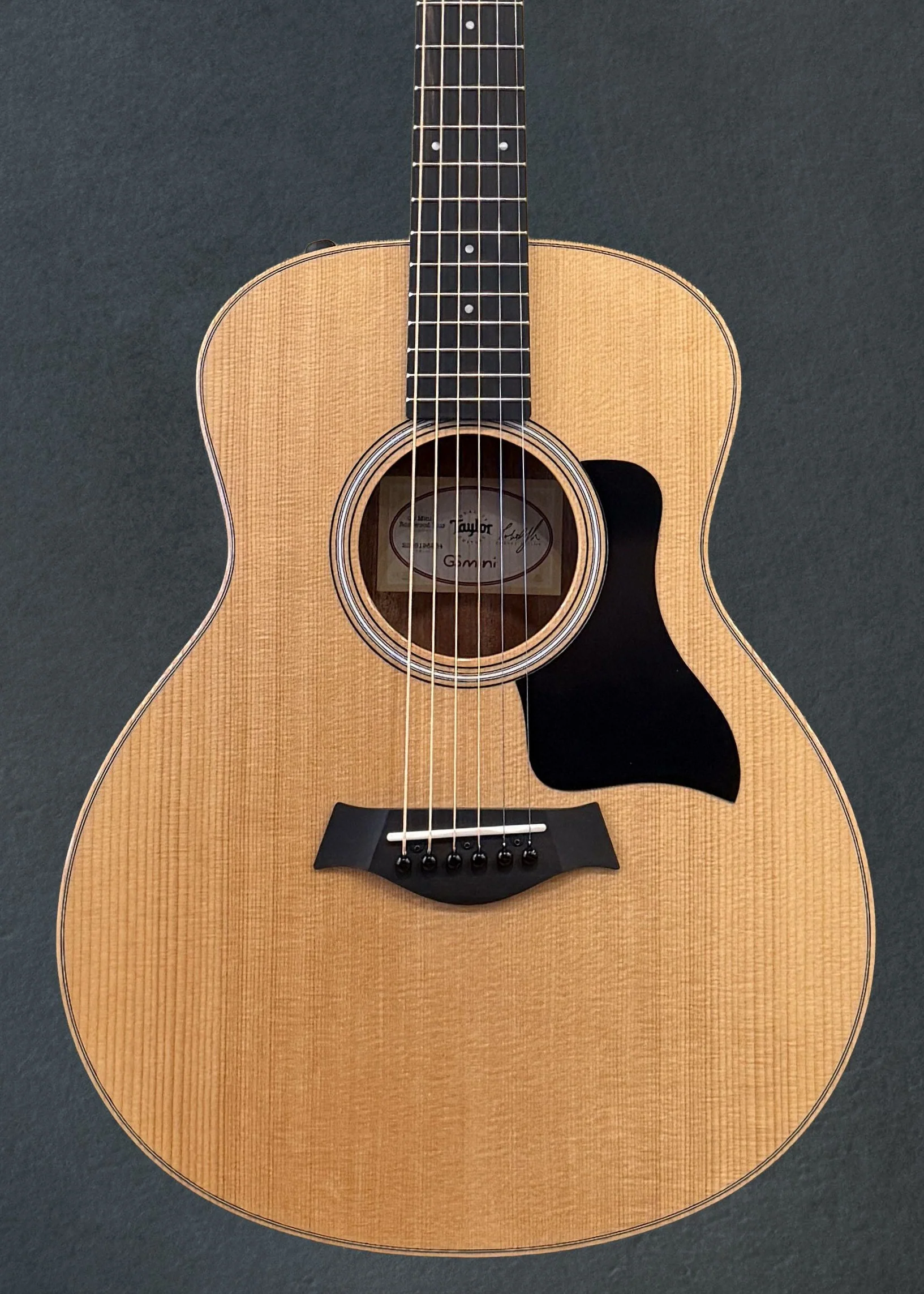 GS Mini-e Rosewood Plus - Image 2