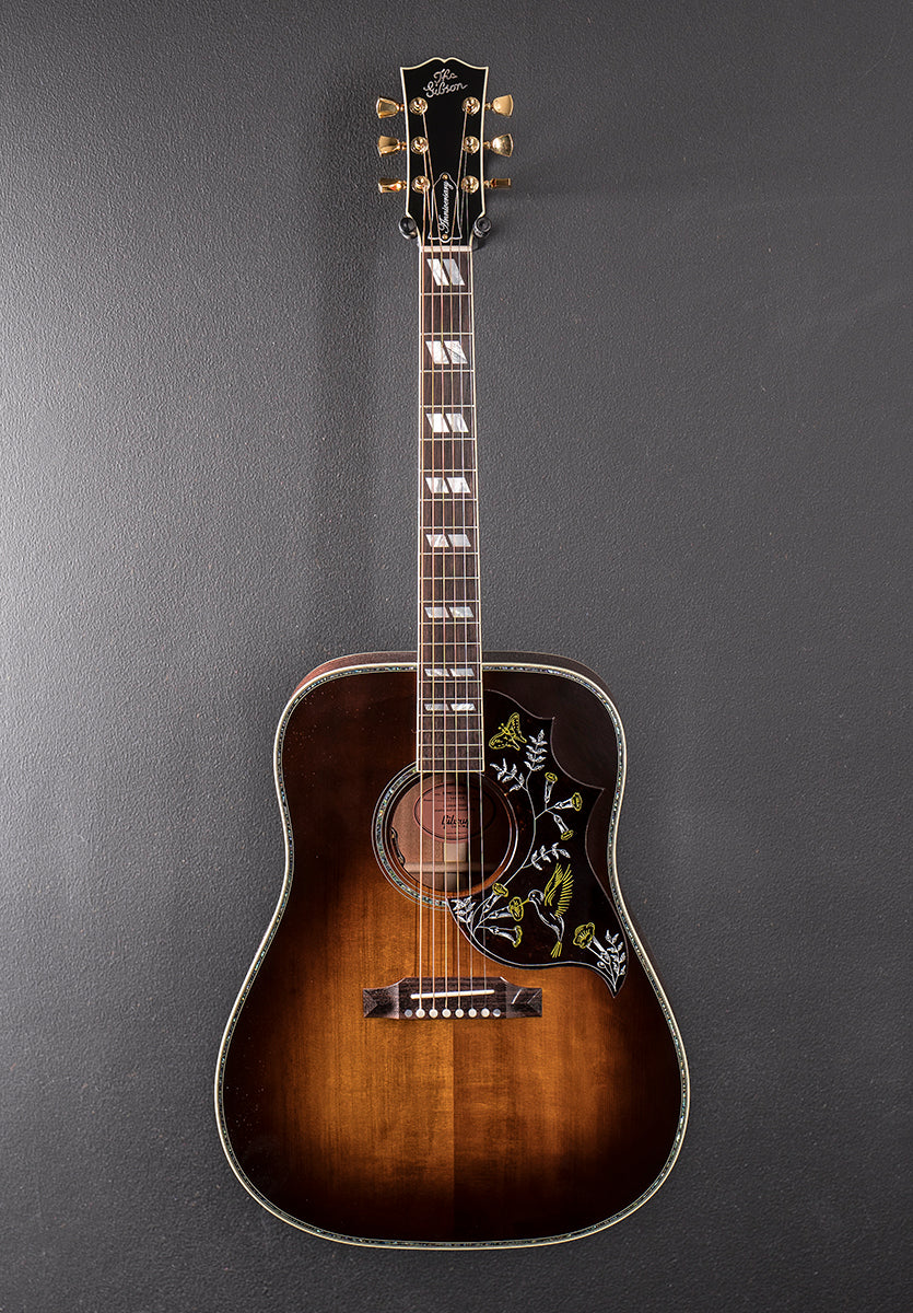Hummingbird Anniversary Limited Edition - Cremona Burst - Image 3