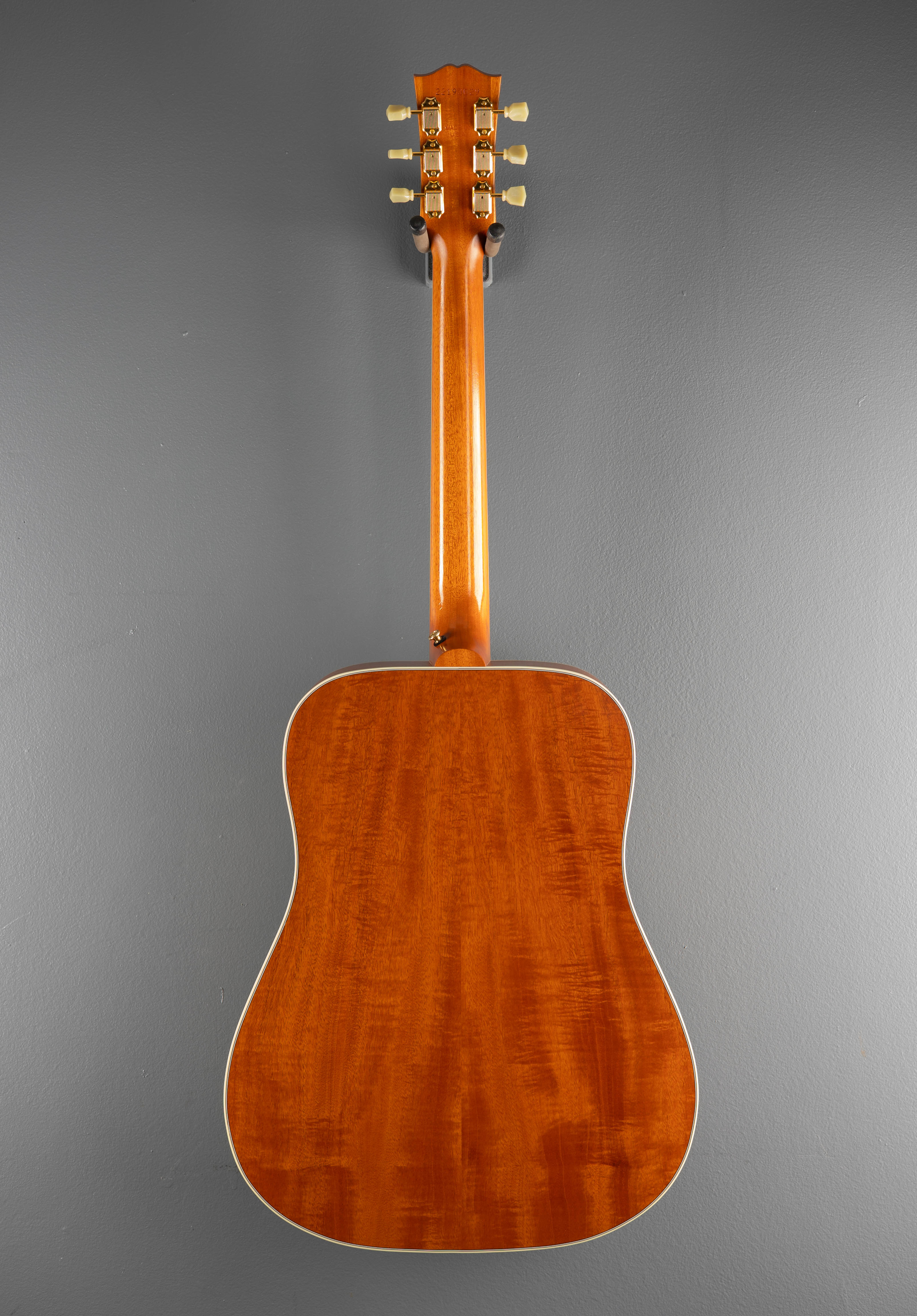 Hummingbird Faded, '23 - Image 5