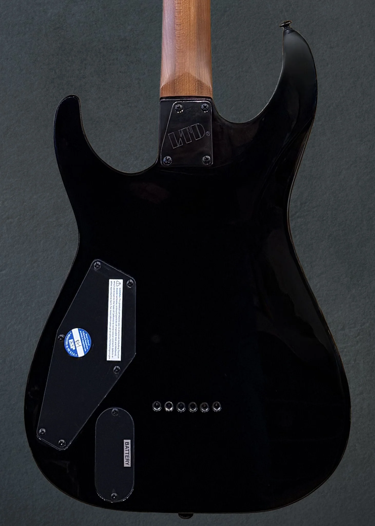 LTD Josh Middleton Signature JM-I - Deep Blood Moon - Image 4
