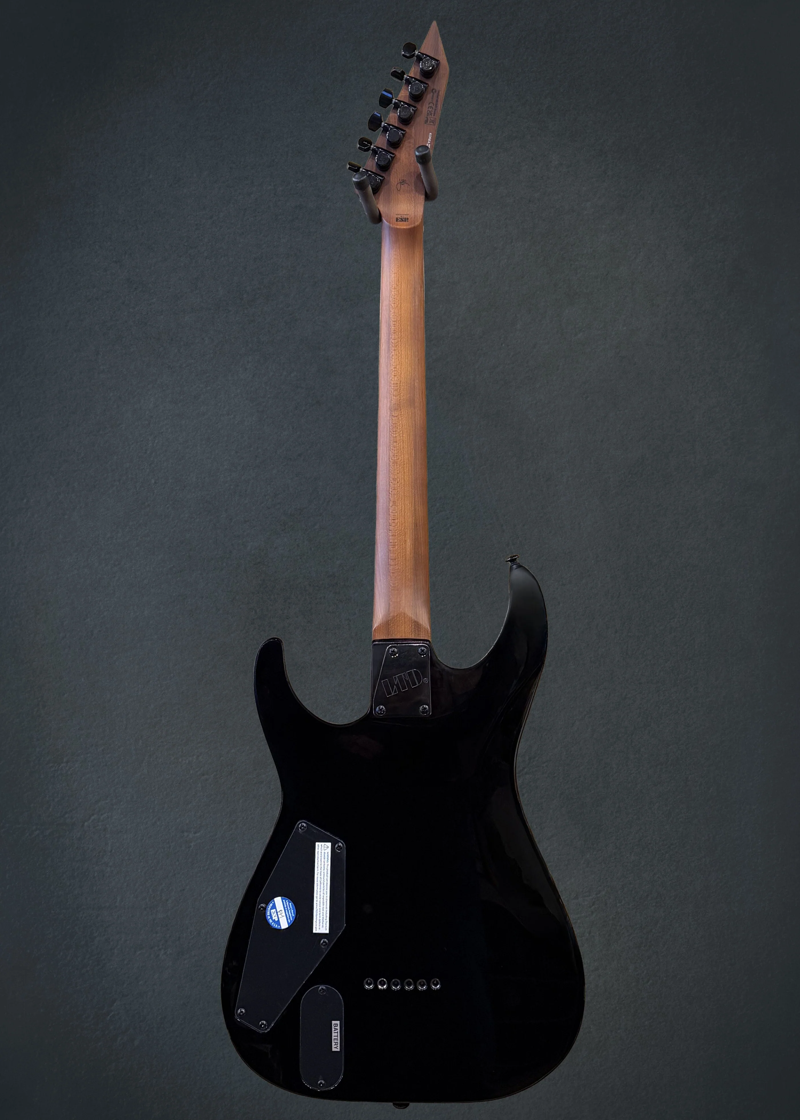 LTD Josh Middleton Signature JM-I - Deep Blood Moon - Image 5