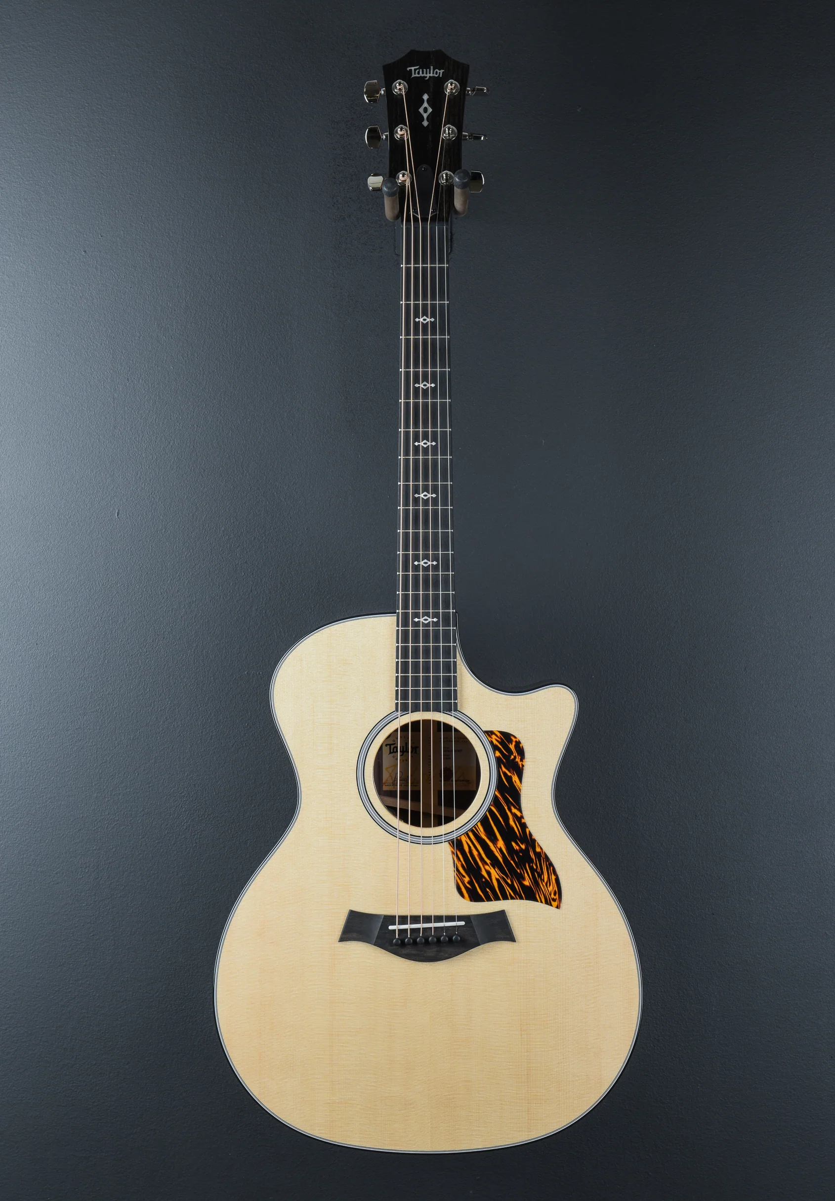 Next Generation 414ce - Image 3