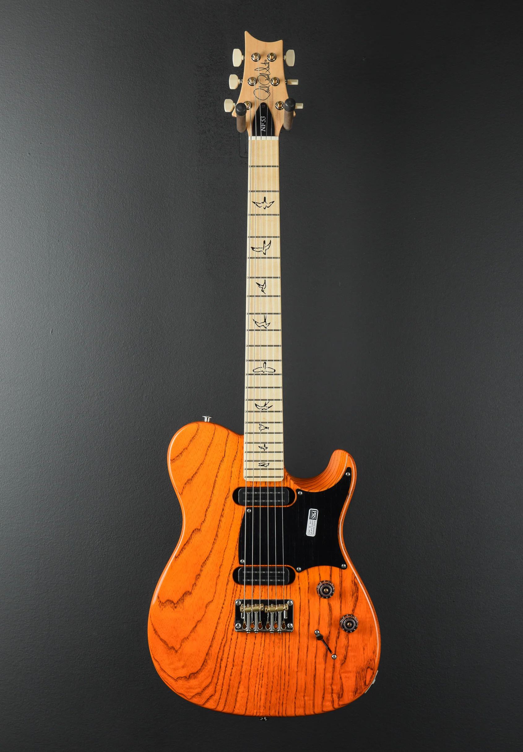 NF53 - Orange Tabby - Image 3