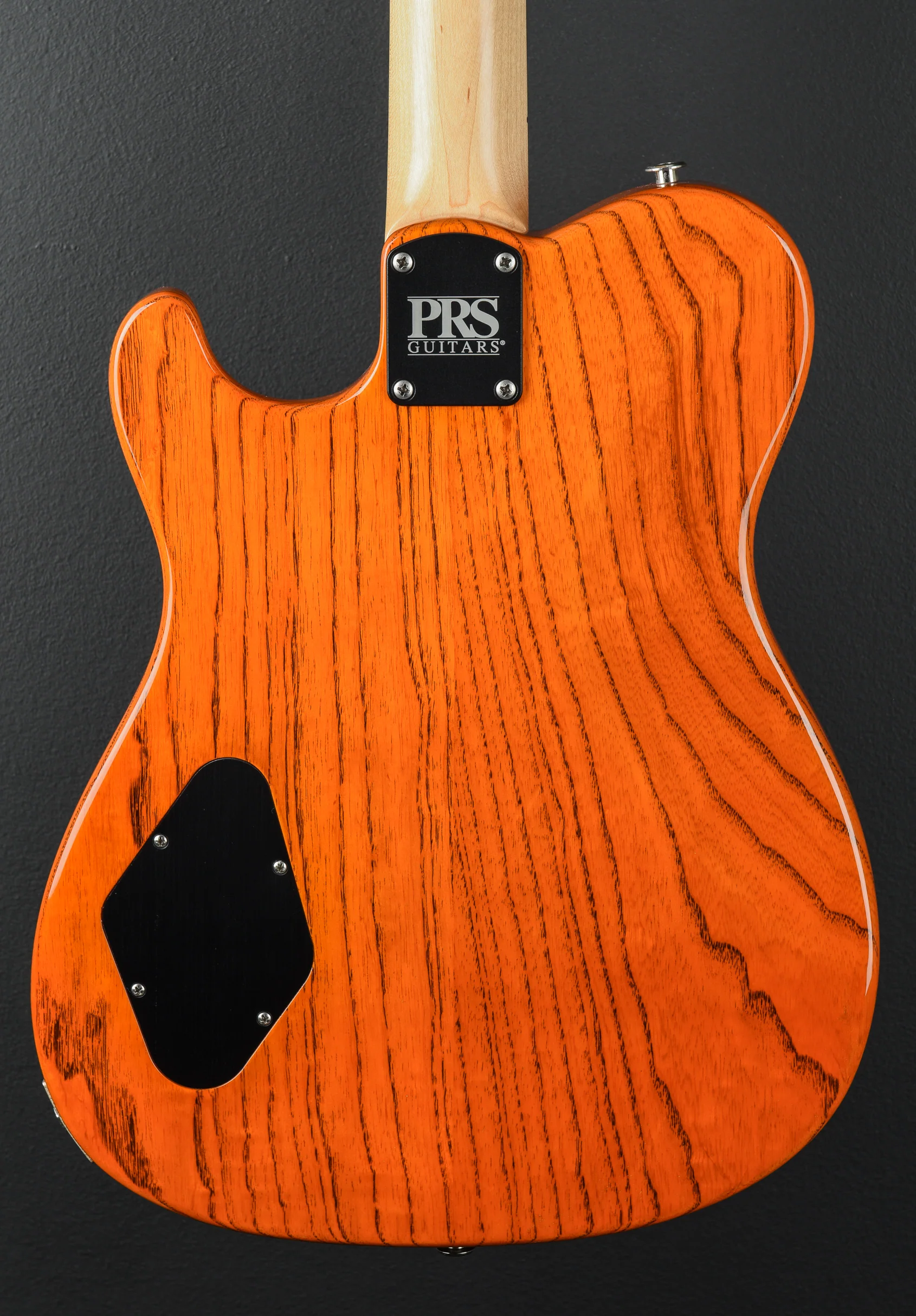 NF53 - Orange Tabby - Image 4
