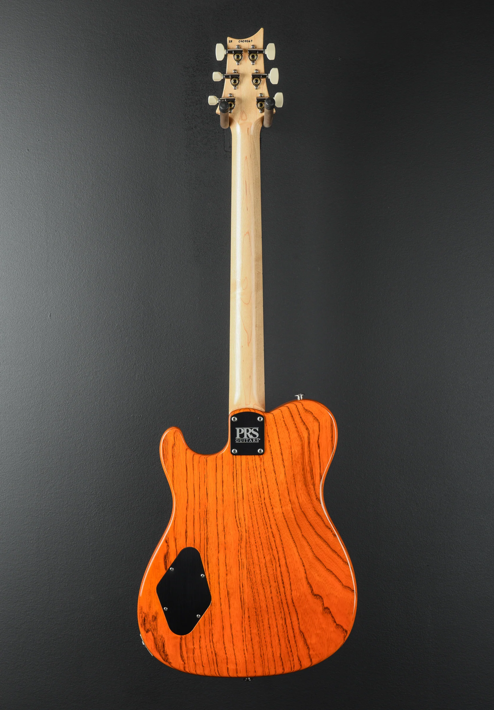 NF53 - Orange Tabby - Image 5