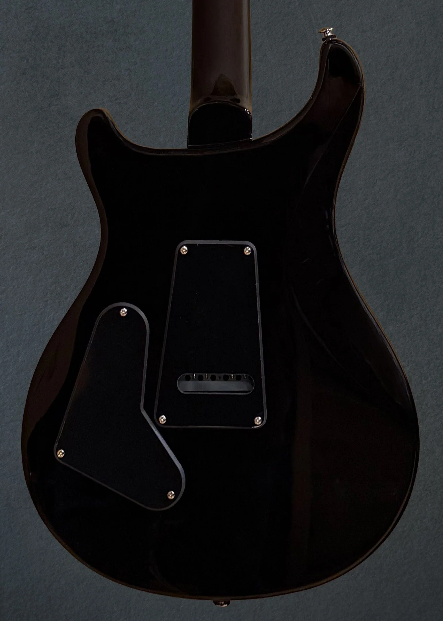 SE Custom 24, '22 - Image 4