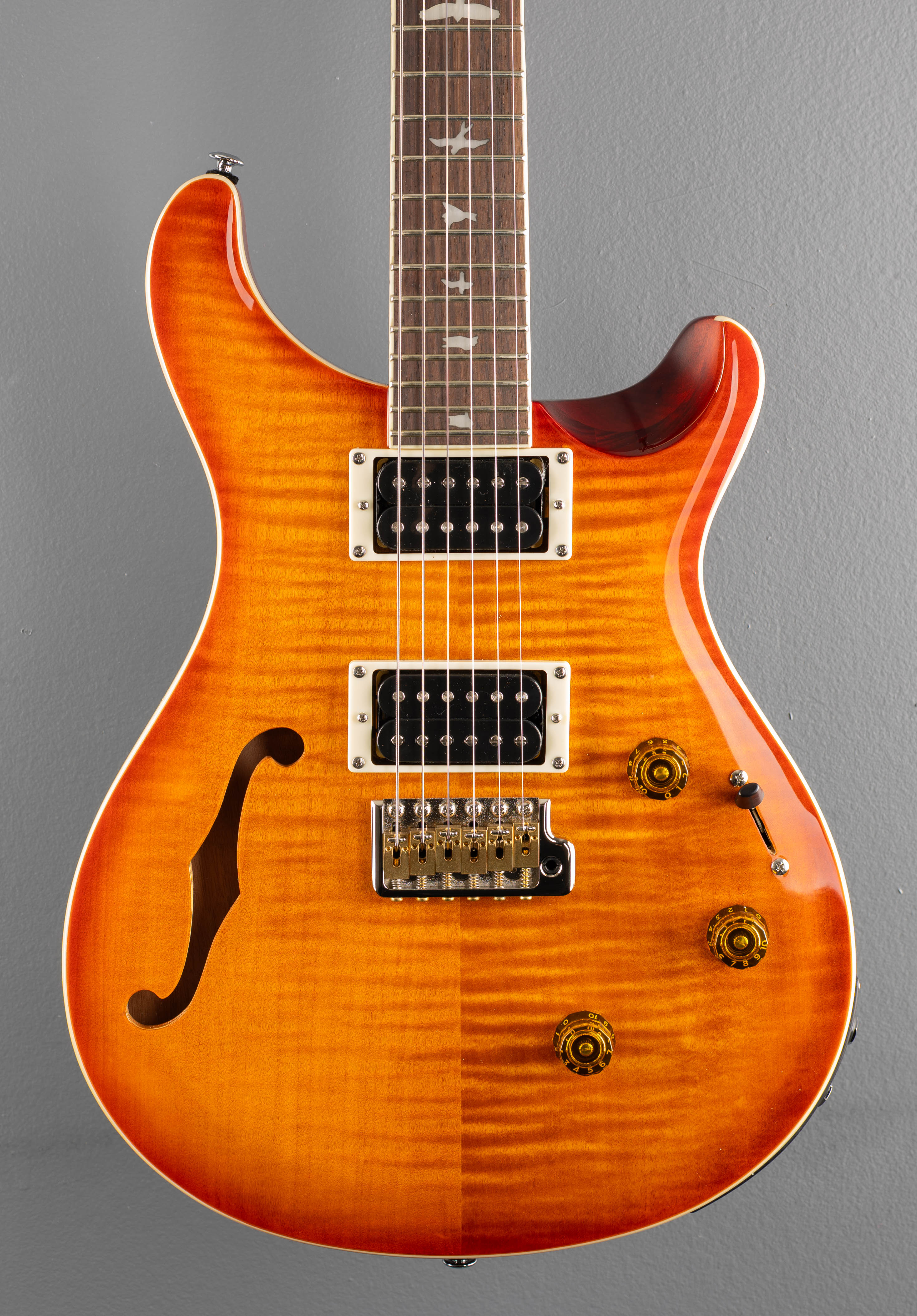 SE Custom 24 Semi Hollow Piezo '24 - Image 2