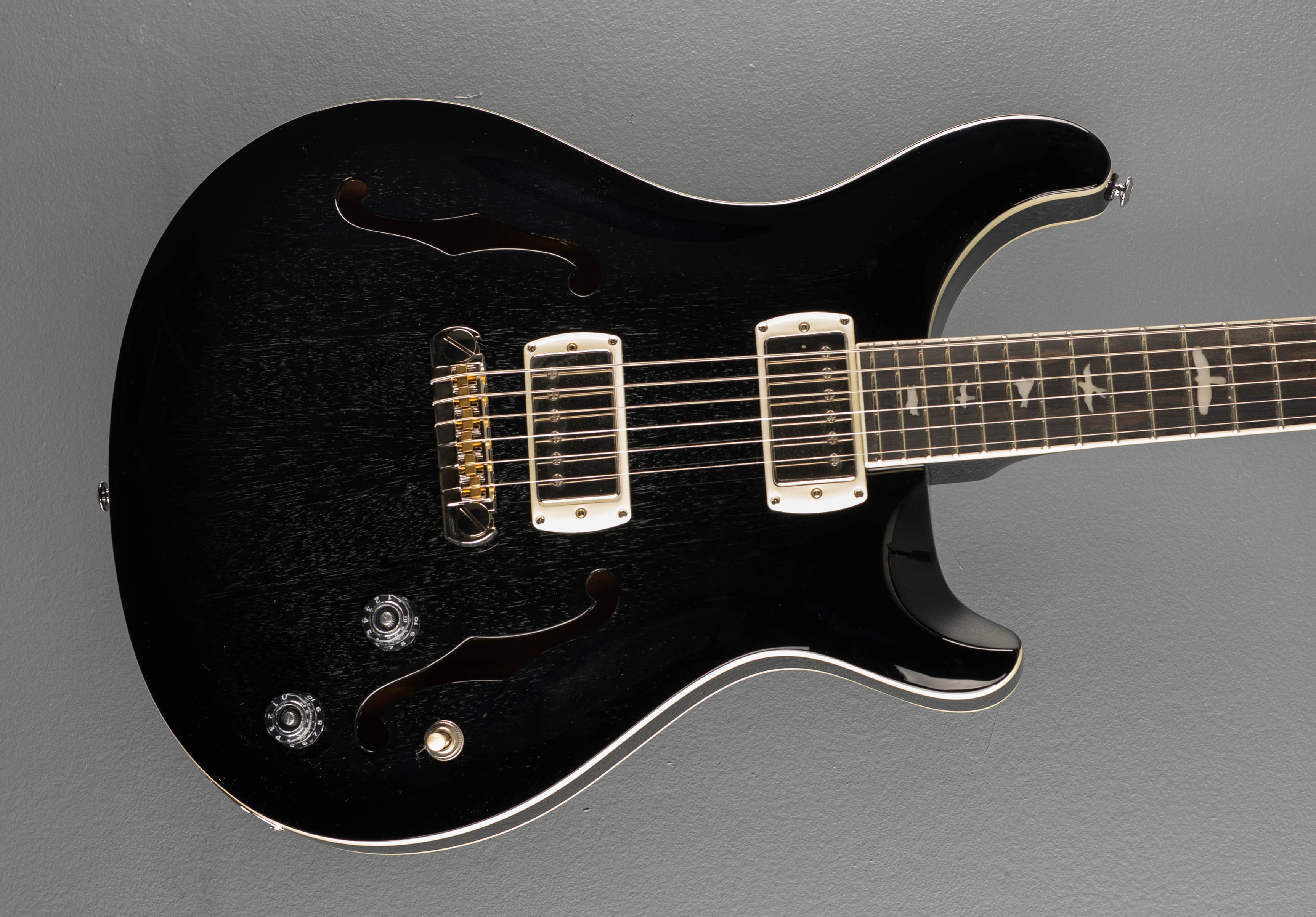 SE Hollowbody Standard, '25