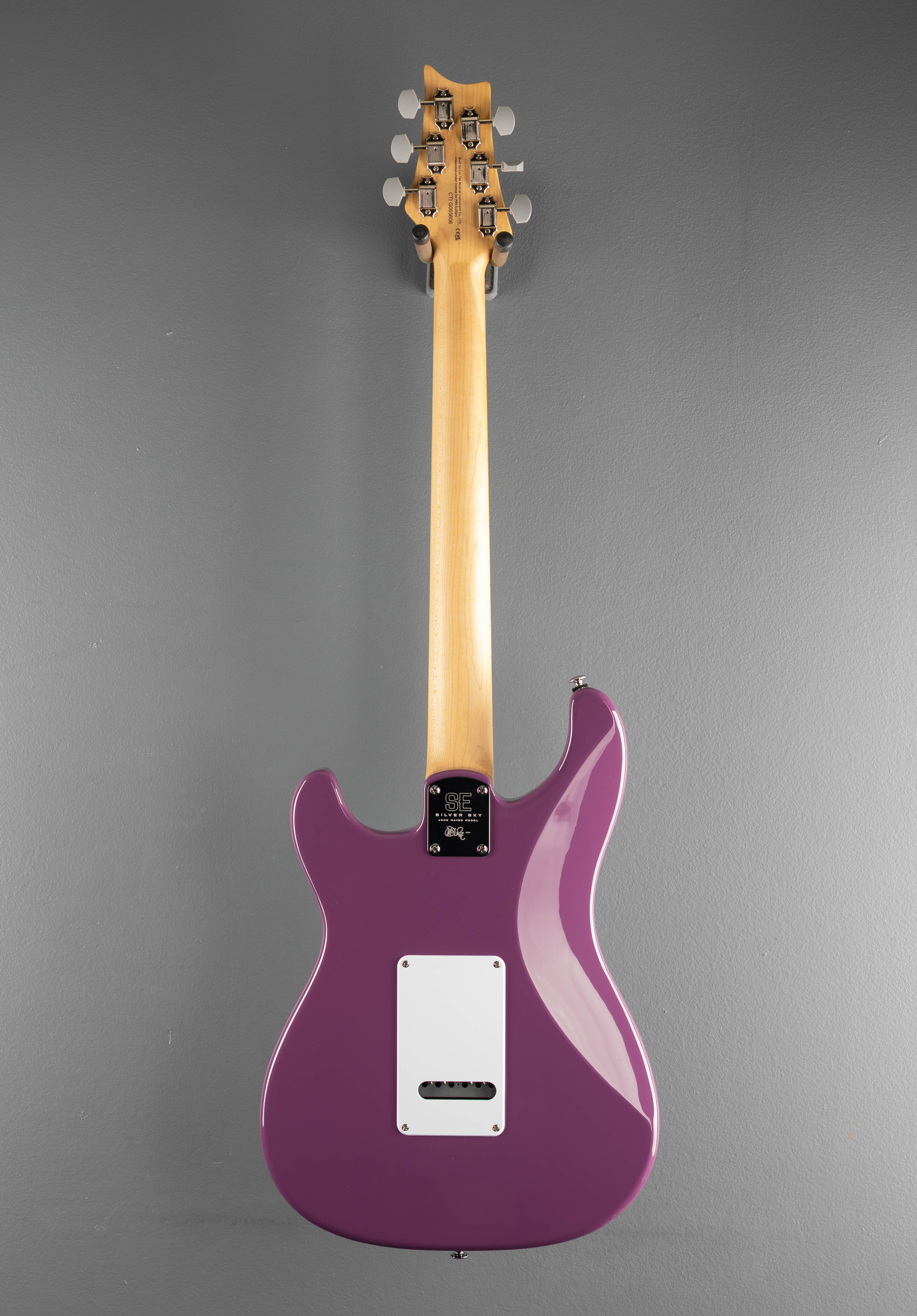 SE Silver Sky w/Maple, '24 - Image 5