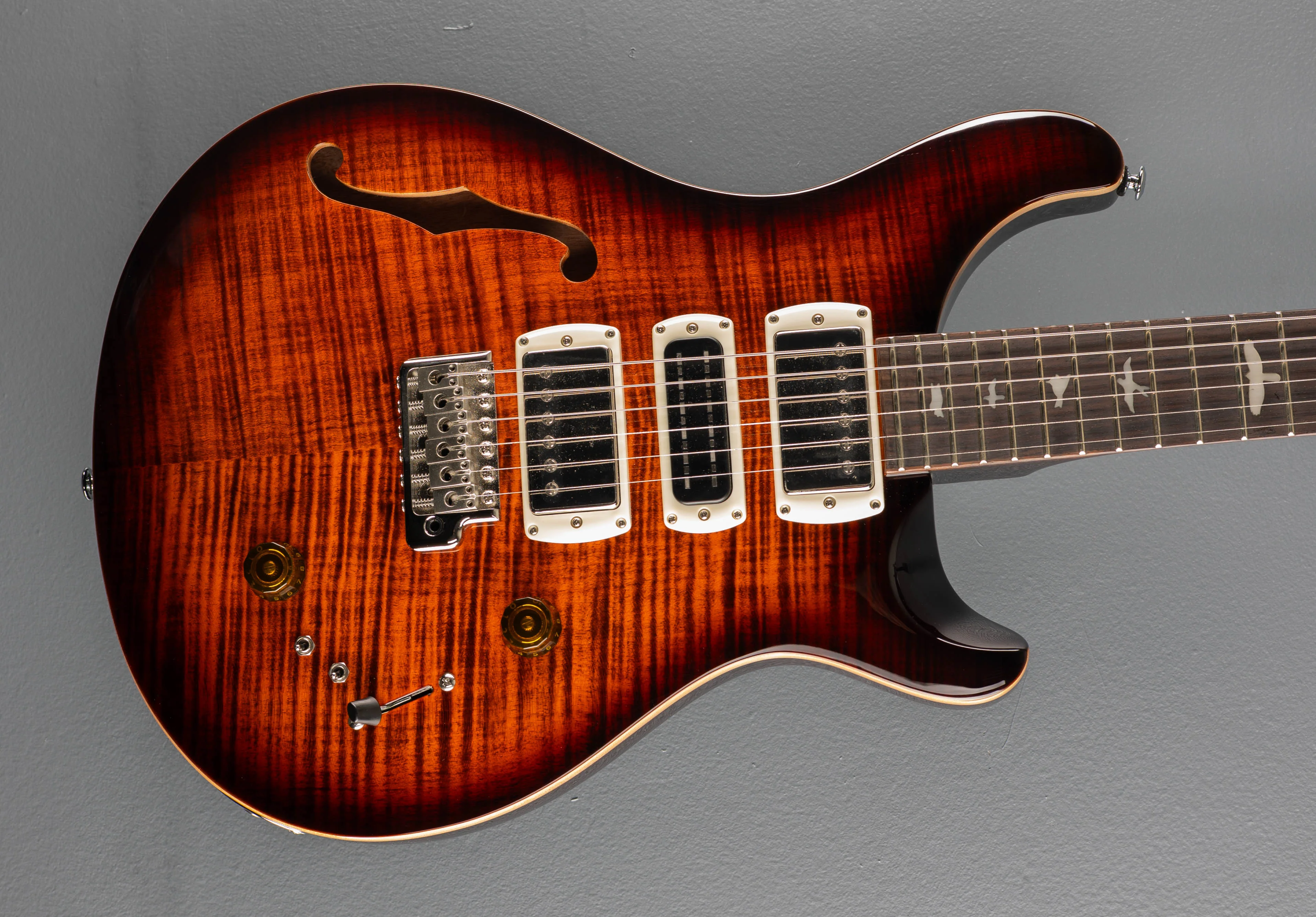 SE Special Semi Hollow, '25