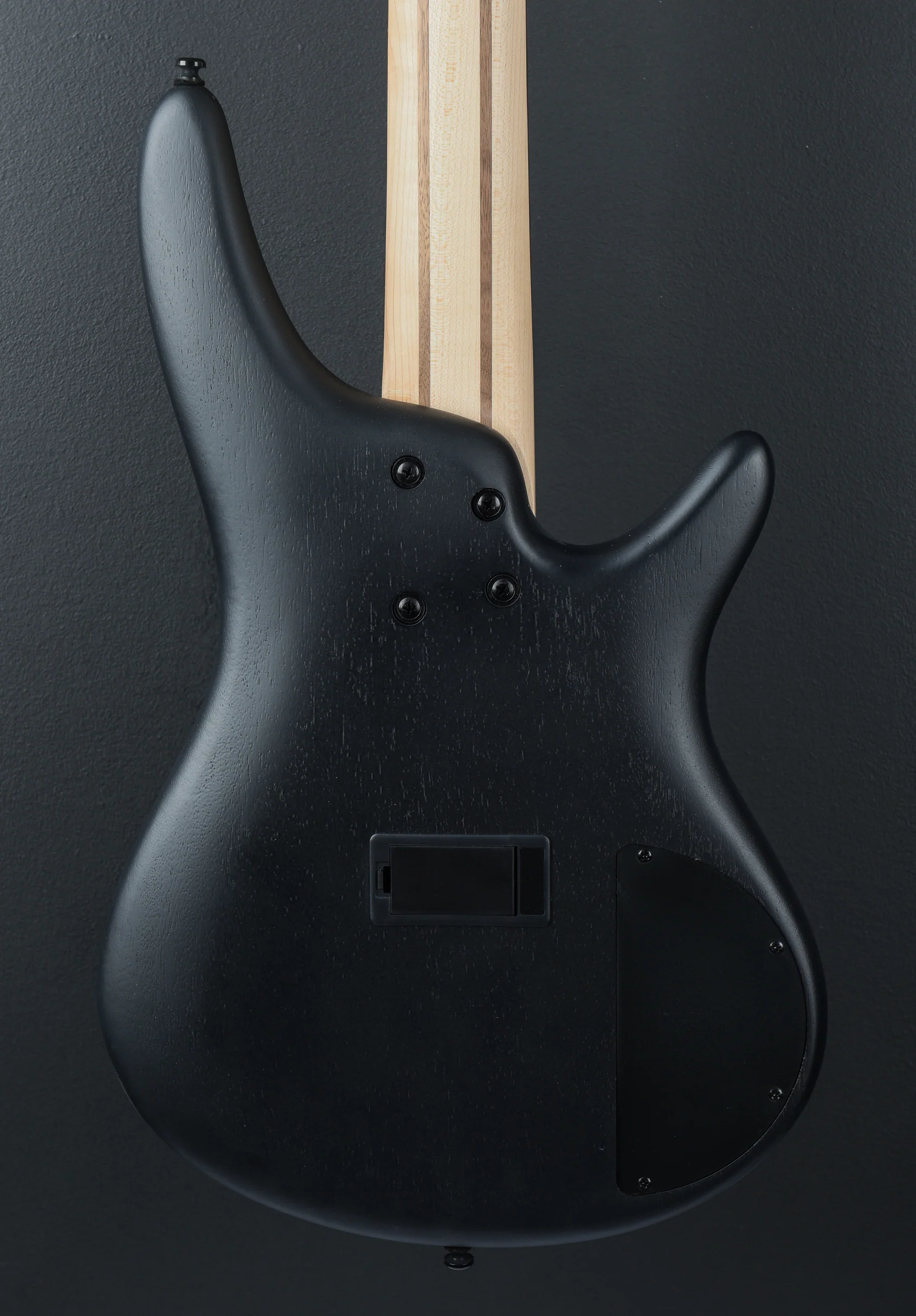 SR305EBL Bass - Image 4