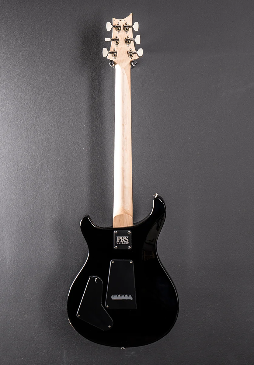 Swamp Ash Special - Black Doghair Smokeburst - Image 5