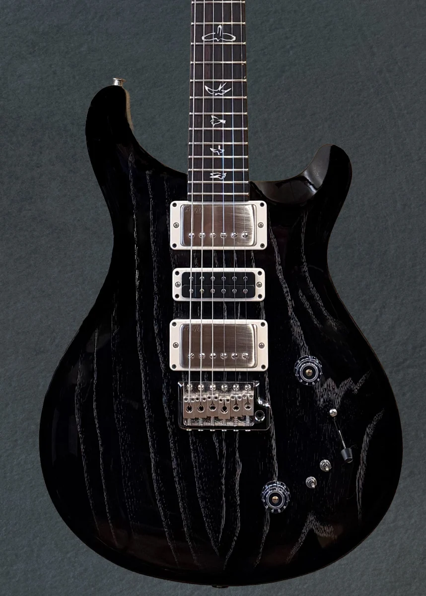 Swamp Ash Special - Black Doghair - Image 2